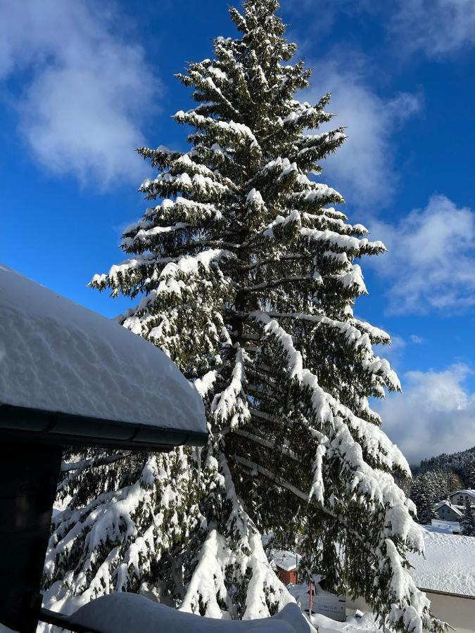 Entire Cozy Chalet In St-Cergue - 30 Min From Geneva Saint-Cergue Exteriör bild