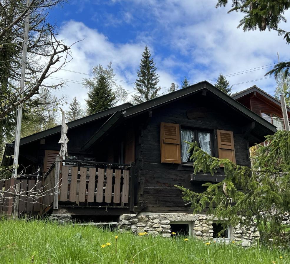 Entire Cozy Chalet In St-Cergue - 30 Min From Geneva Saint-Cergue Exteriör bild