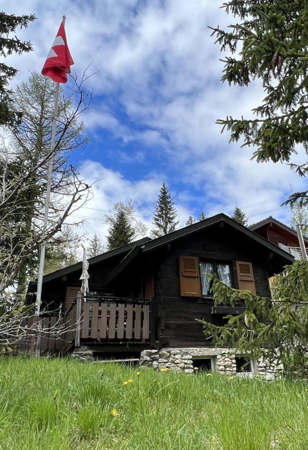 Entire Cozy Chalet In St-Cergue - 30 Min From Geneva Saint-Cergue Exteriör bild